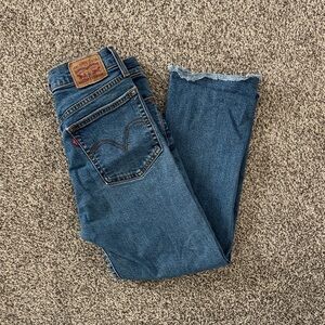Levi's Wedgie Straight Jeans